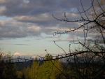 DSCN3027.jpg