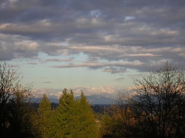 DSCN3028.jpg