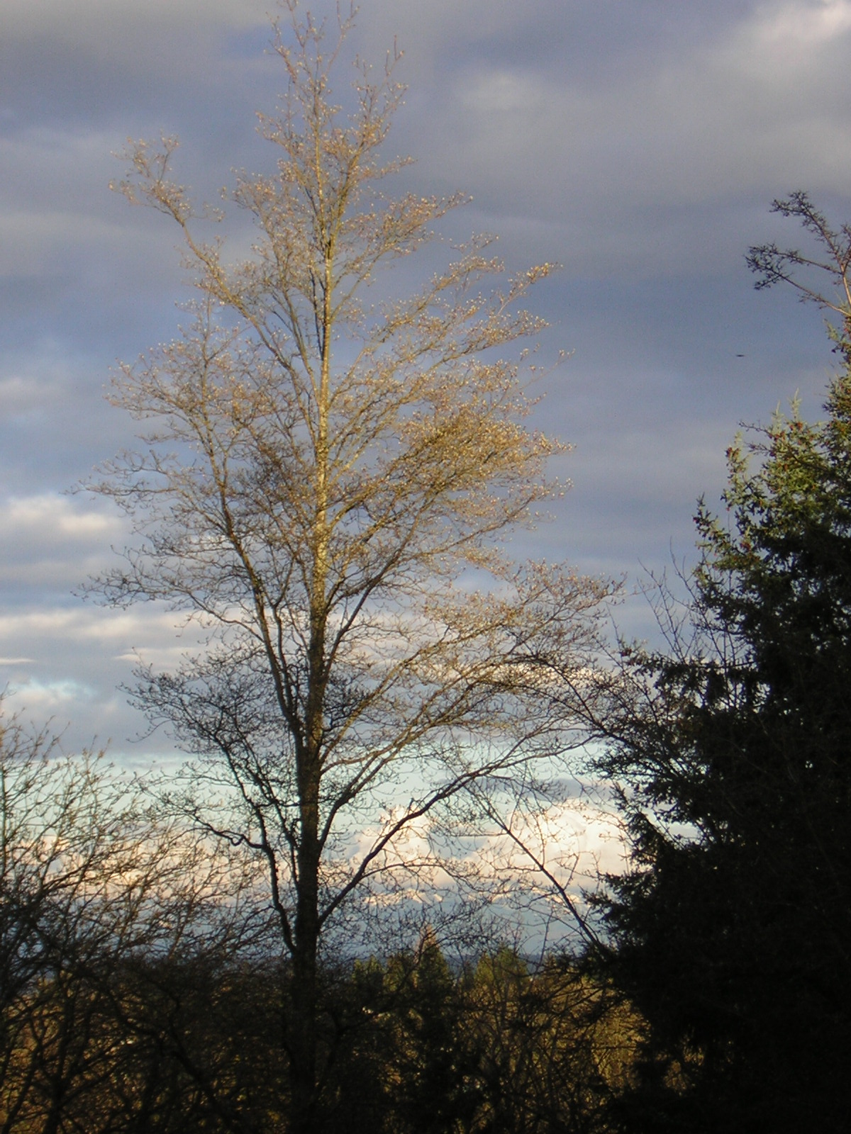 DSCN3029.jpg