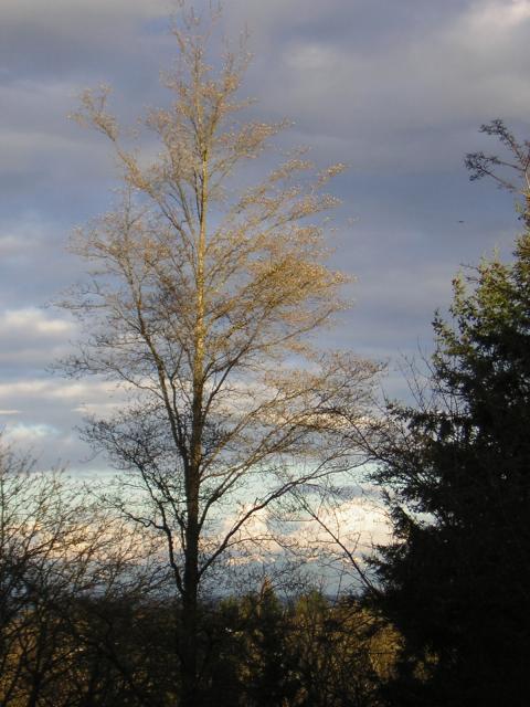DSCN3029.jpg