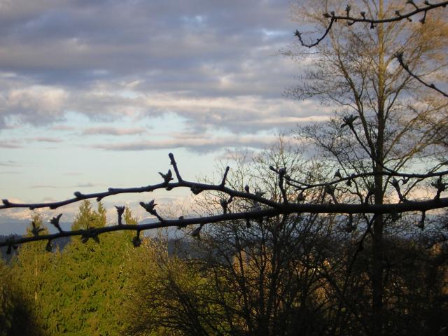 DSCN3030.jpg