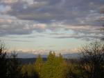DSCN3031.jpg