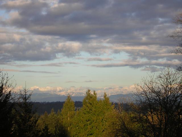 DSCN3031.jpg