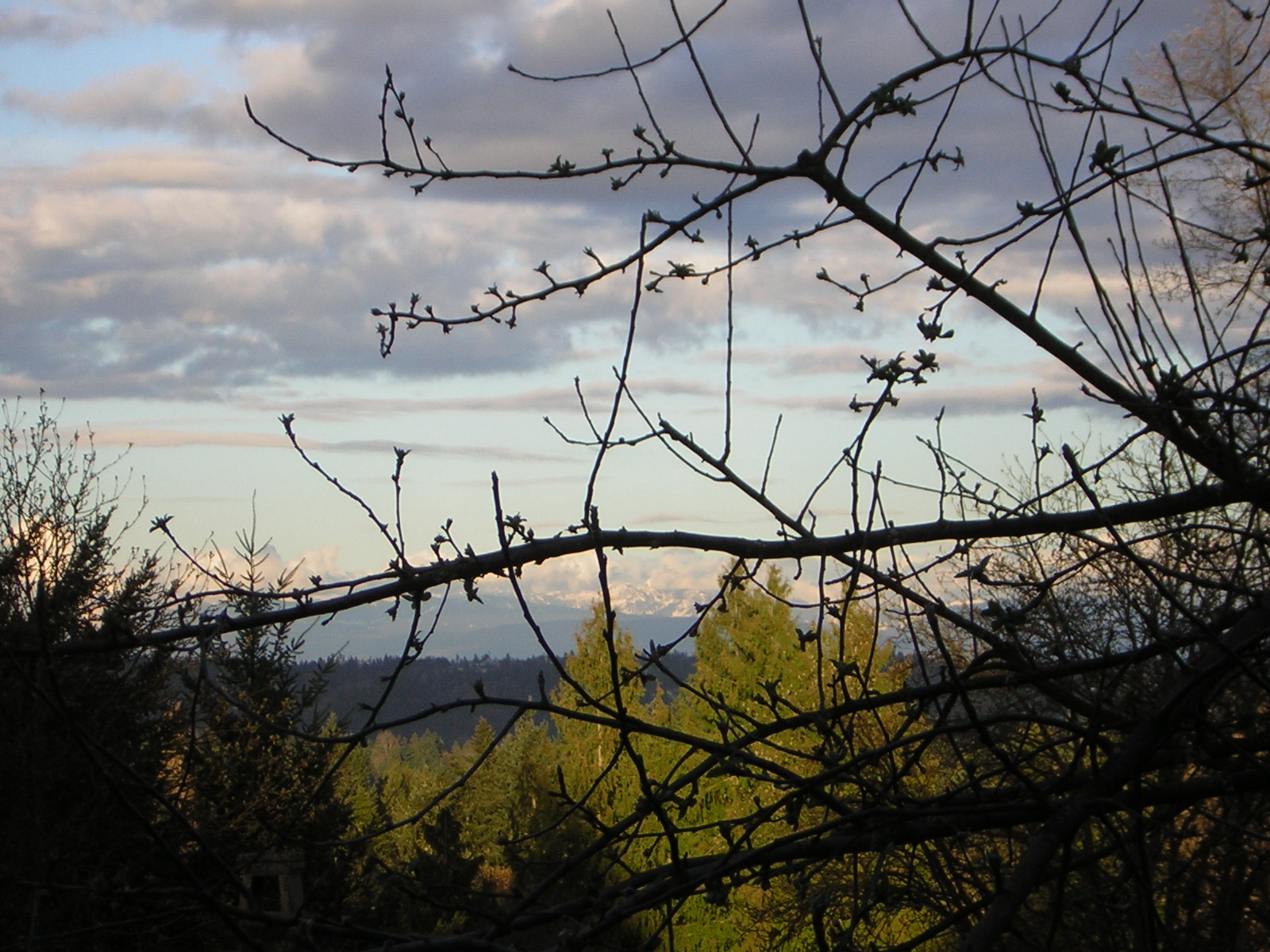 DSCN3032.jpg