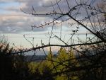 DSCN3032.jpg