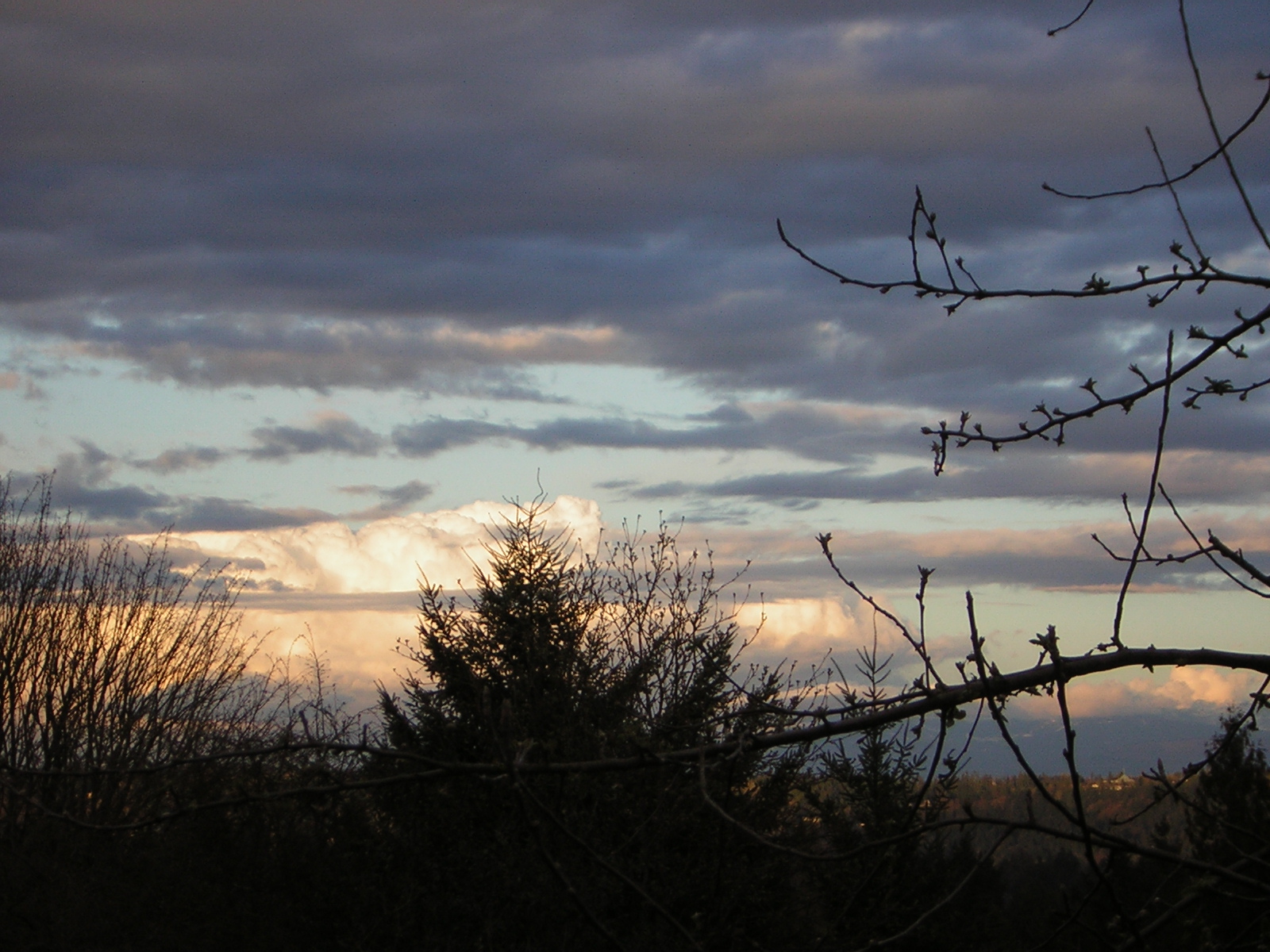 DSCN3033.jpg