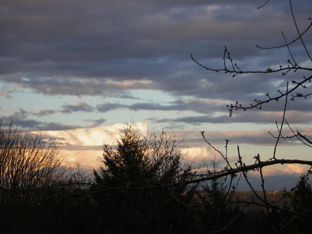 DSCN3033.jpg