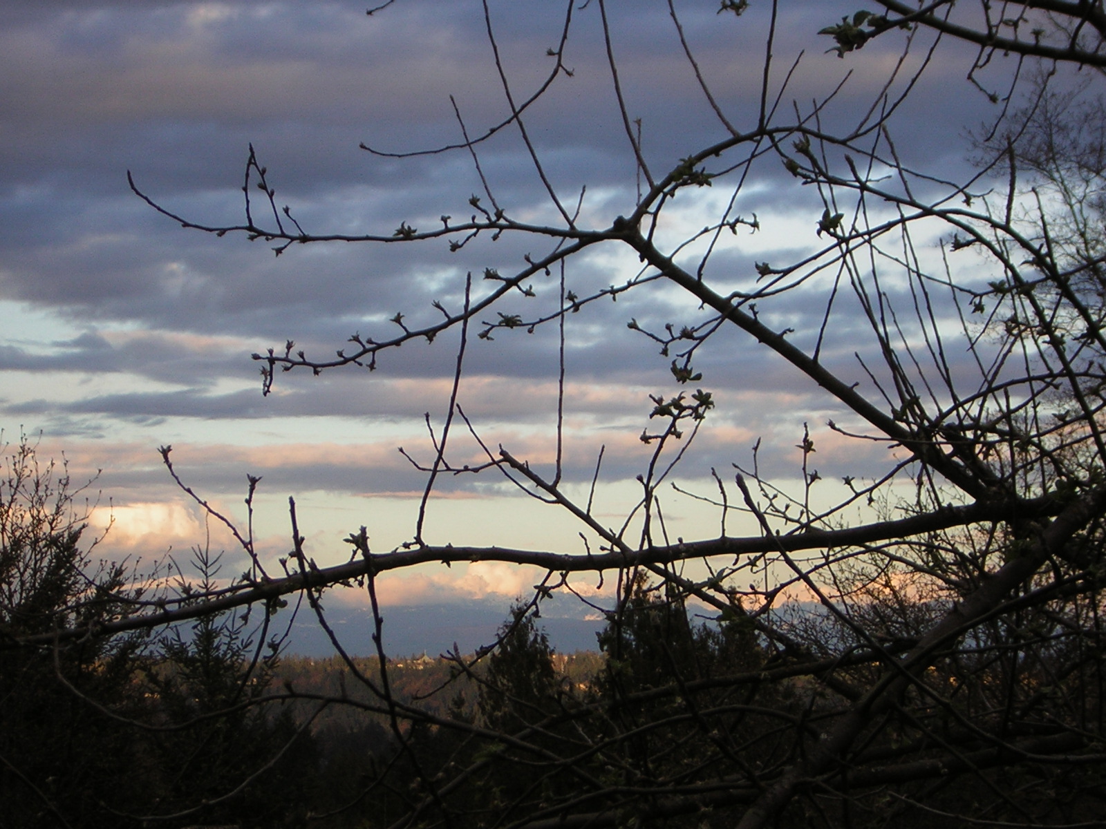 DSCN3034.jpg