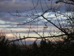 DSCN3034.jpg