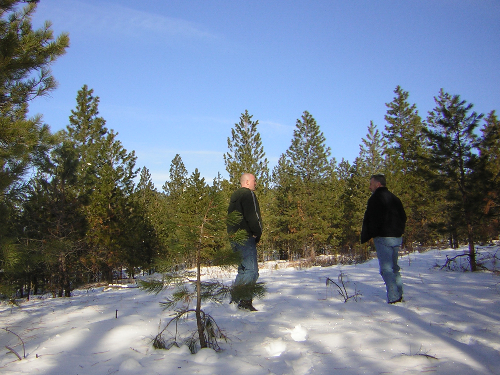 DSCN2818.jpg
