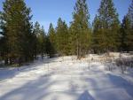 Cabin search