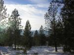 DSCN2819.jpg
