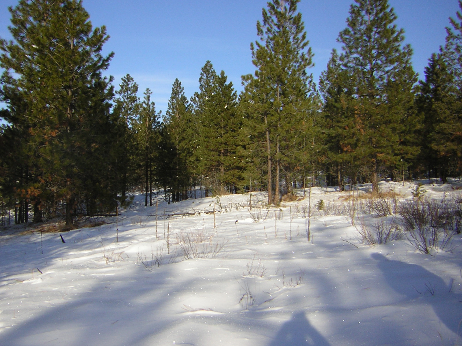 DSCN2820.jpg