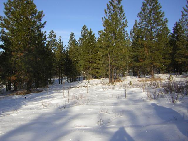 DSCN2820.jpg