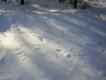 DSCN2821.jpg