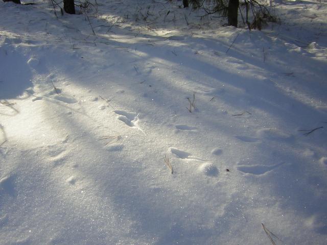 DSCN2821.jpg