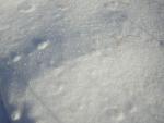 DSCN2822.jpg