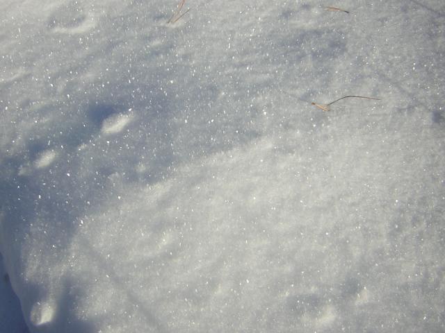 DSCN2822.jpg