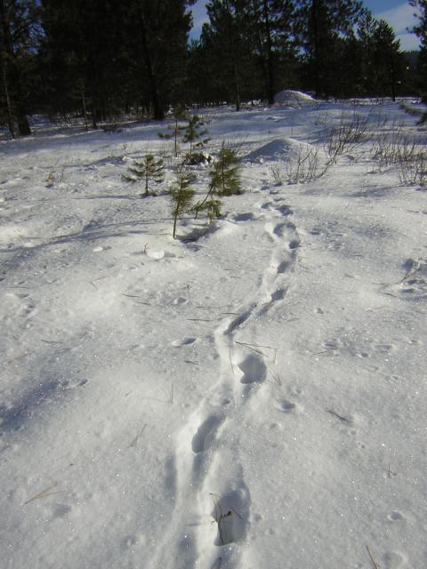 DSCN2823.jpg