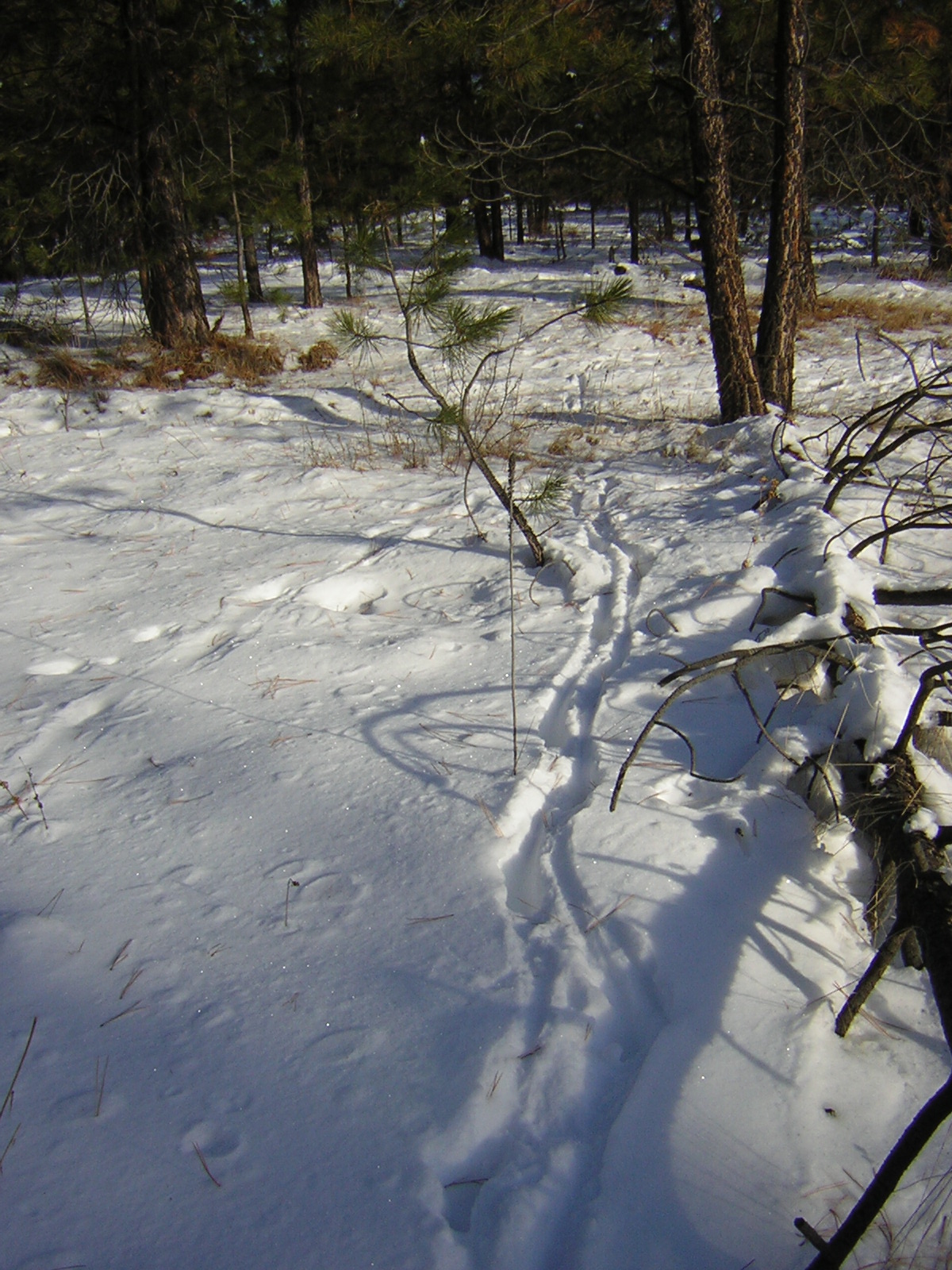 DSCN2824.jpg