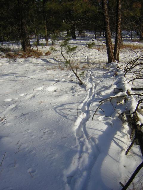 DSCN2824.jpg