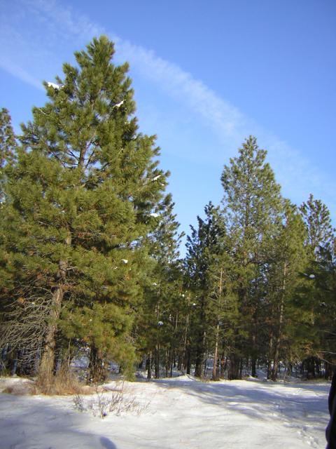 DSCN2825.jpg