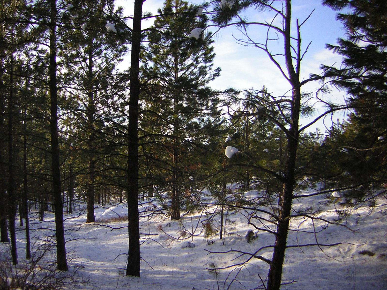 DSCN2826.jpg
