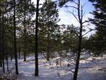 DSCN2826.jpg