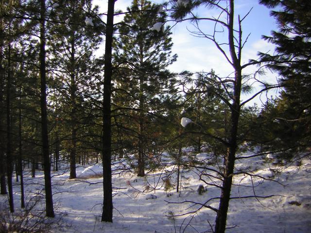 DSCN2826.jpg