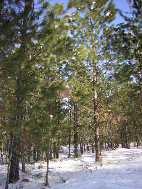 DSCN2827.jpg