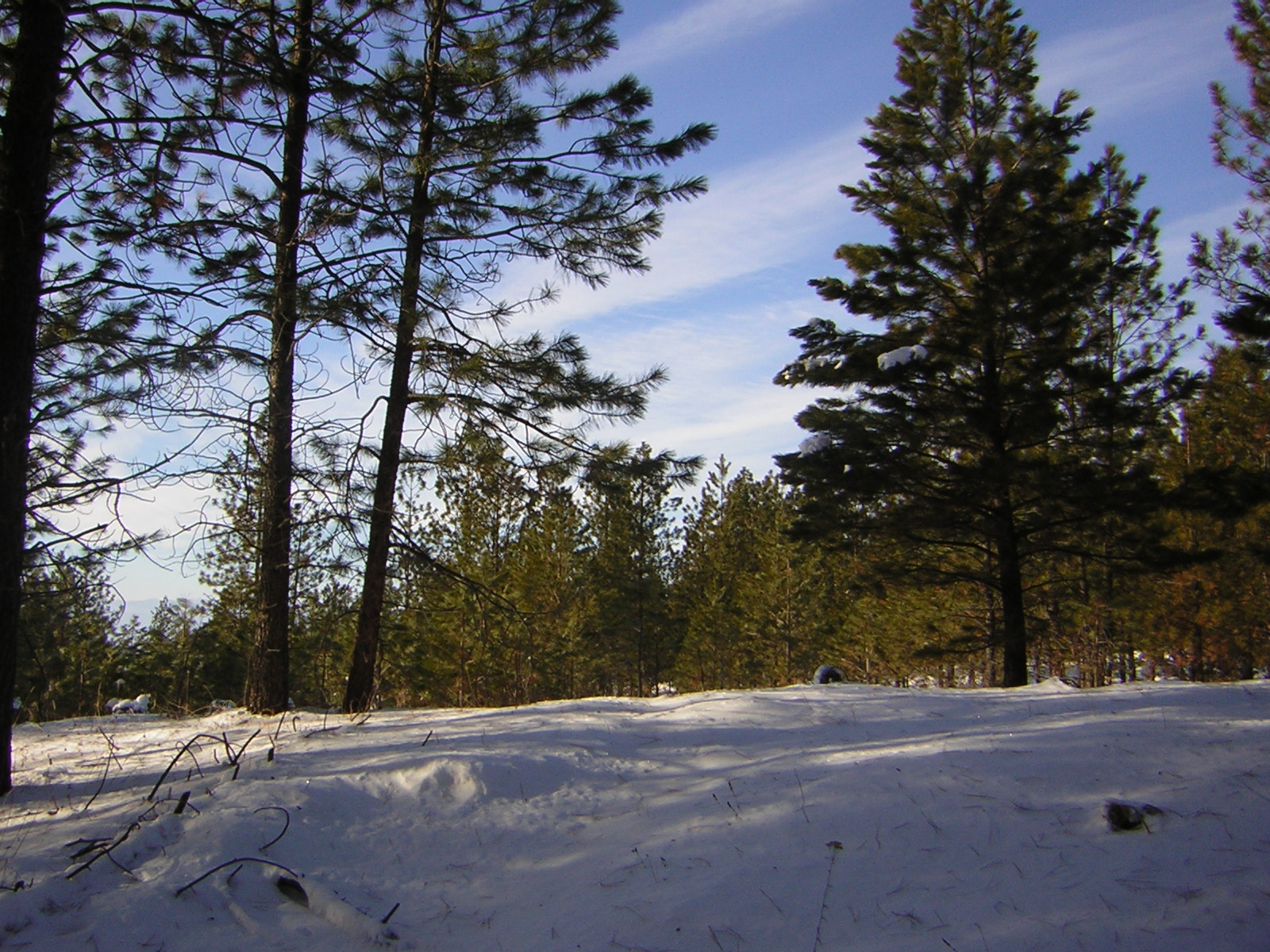 DSCN2828.jpg