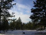 DSCN2829.jpg