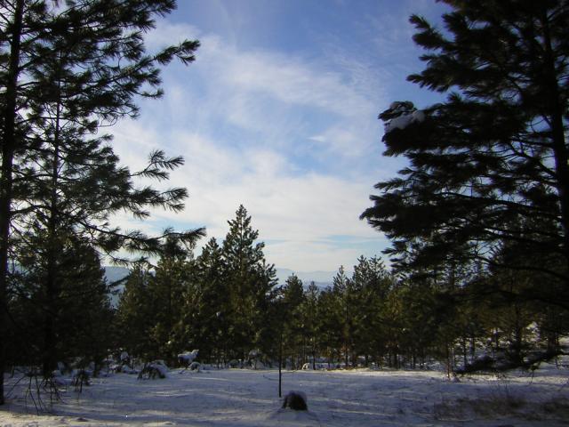 DSCN2829.jpg