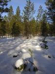 DSCN2831.jpg
