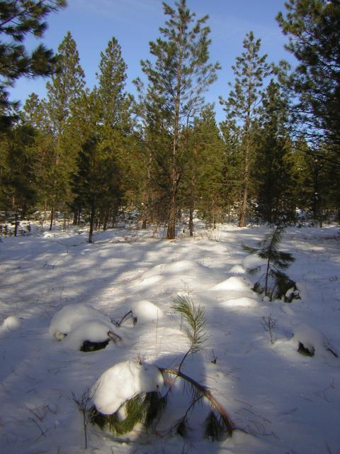 DSCN2831.jpg
