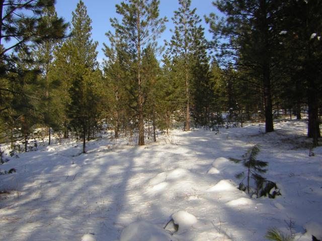 DSCN2832.jpg