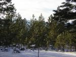 DSCN2833.jpg