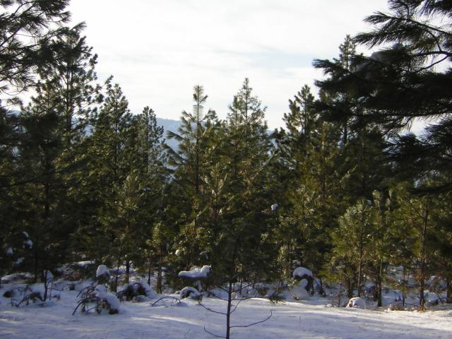 DSCN2833.jpg