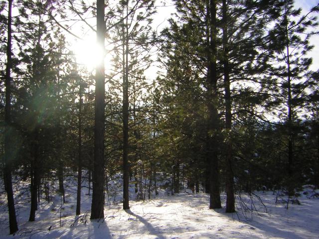 DSCN2834.jpg