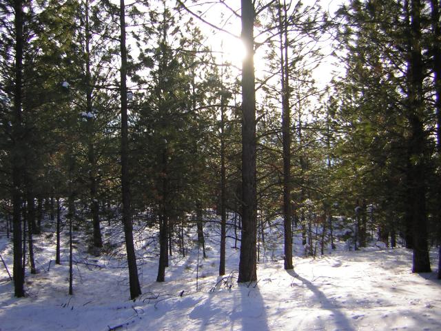 DSCN2835.jpg
