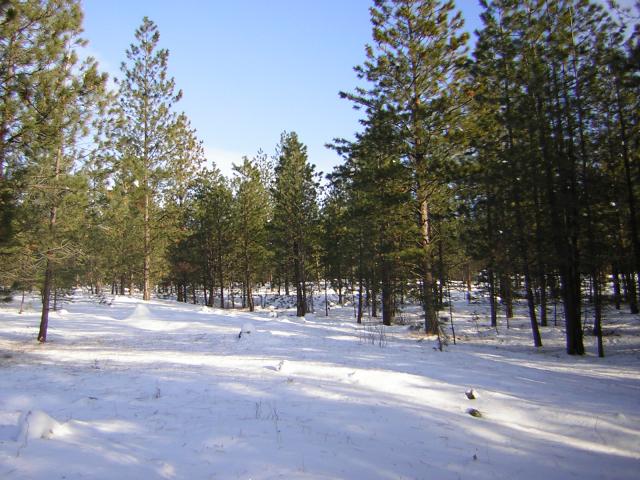 DSCN2836.jpg