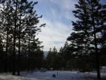 DSCN2837.jpg
