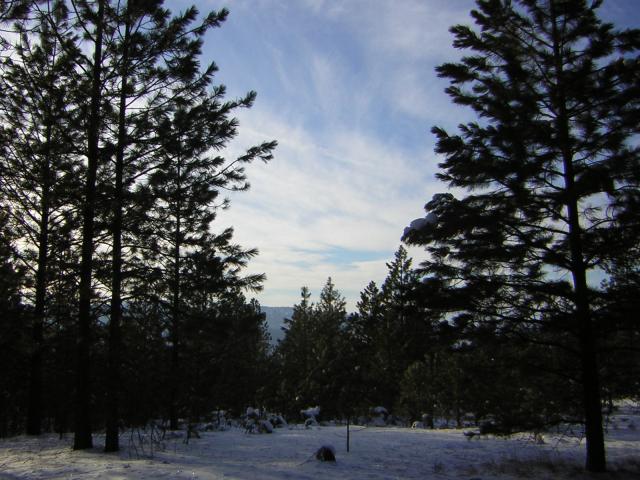 DSCN2837.jpg