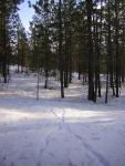 DSCN2838.jpg