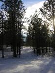 DSCN2839.jpg
