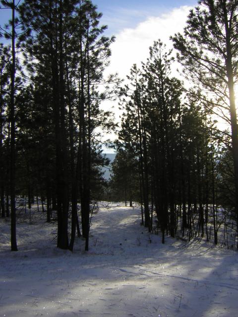 DSCN2839.jpg