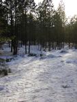 DSCN2841.jpg