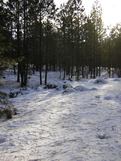 DSCN2841.jpg