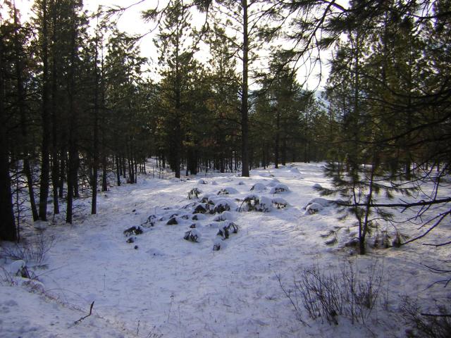 DSCN2842.jpg