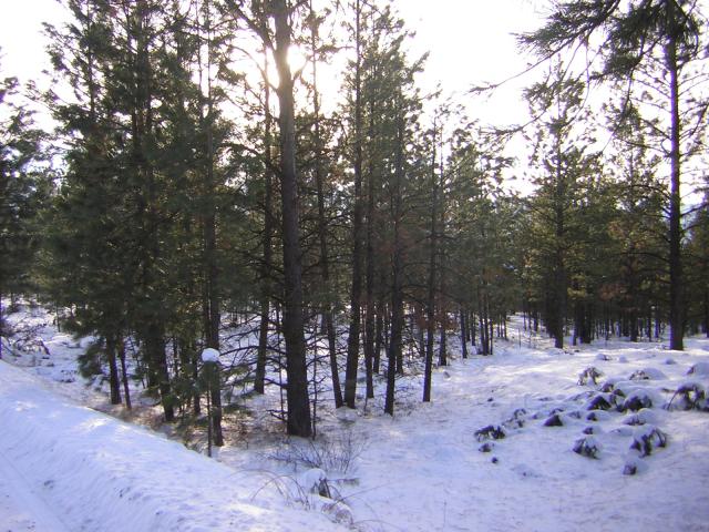 DSCN2844.jpg